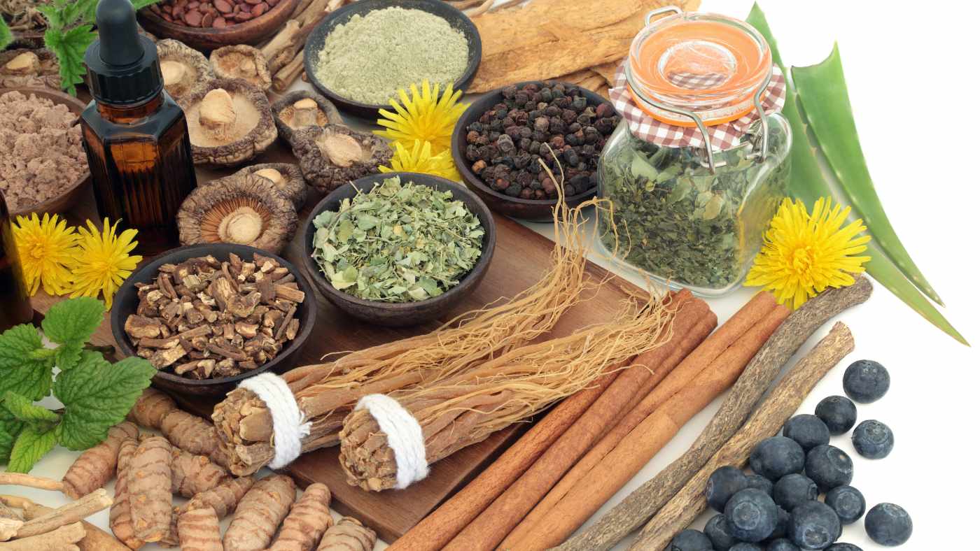 What Are Adaptogenic Mushrooms (A Natural Solution to Modern Stress)