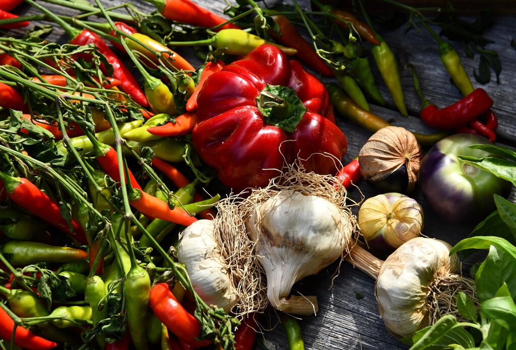 prebiotics-health-benefits