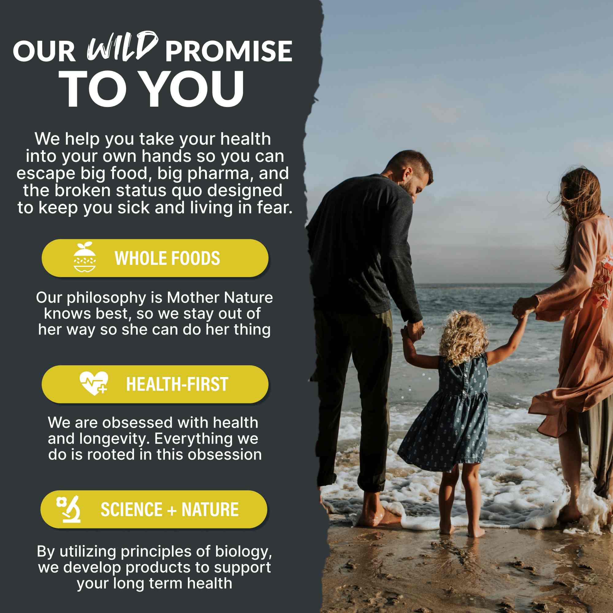 Wild Creatine Monohydrate, 20 Servings – 100% Pure for Strength & Endurance