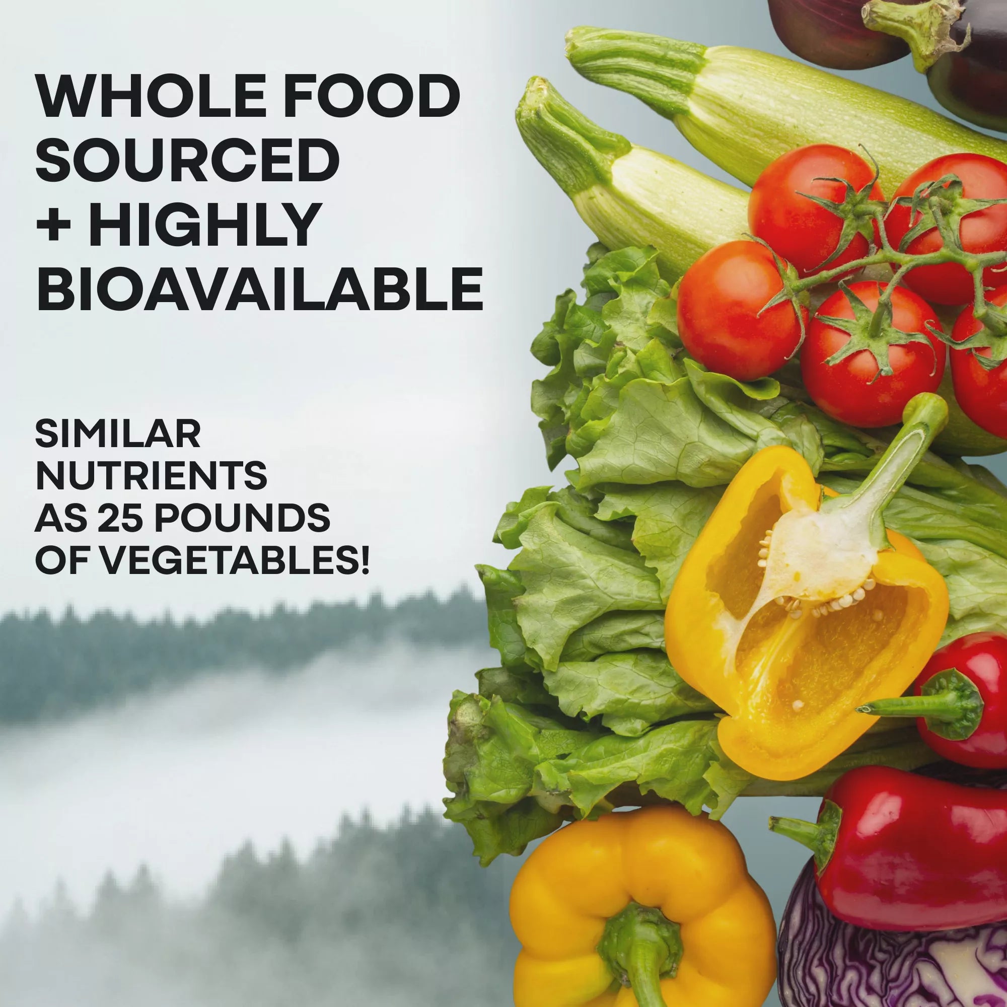 Methylated Whole Food Multivitamin