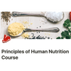 Principles of Human Nutrition Course by The Wild CEO Courses Wild Foods   