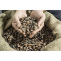 Wild Cocoa Powder - Organic from Peru, Single-Origin, Small farmers Ingredients Wild Foods   