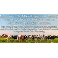 Wild Grass-Fed Whey Protein Wholesale case of 6 Wholesale Wild Foods   