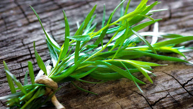 All About Tarragon: A Culinary Favorite with Health Benefits and a Rich History