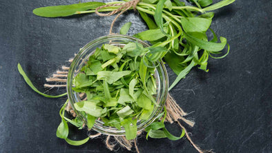 Why is Tarragon Healthy? Uncovering the Nutritional Benefits of this Aromatic Herb
