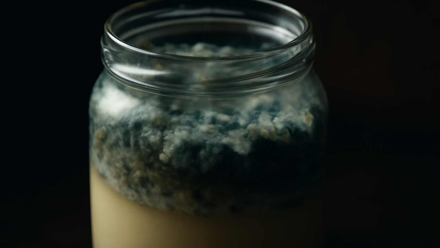Why is My Beef Tallow Molding? What You Need to Know