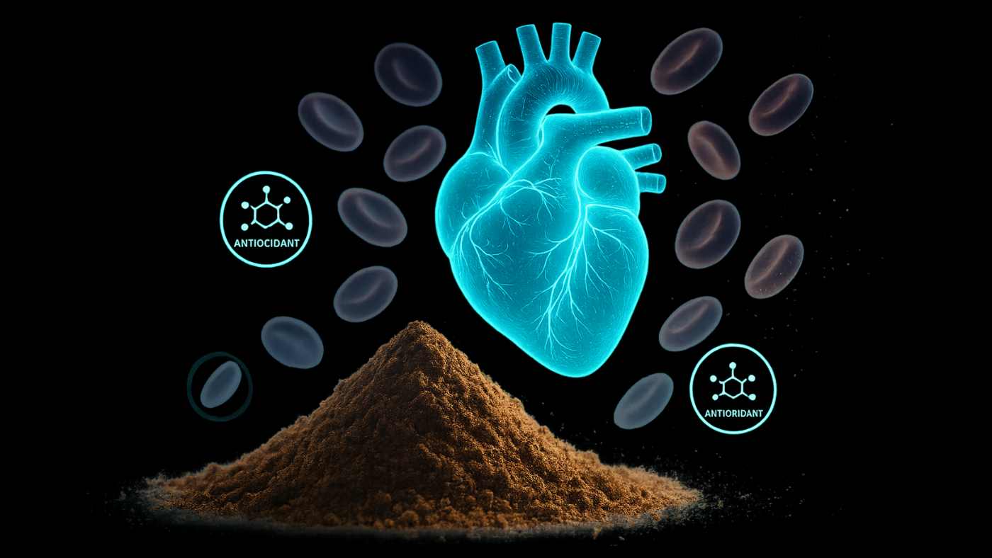 Ceylon Cinnamon: The True Cinnamon for Wellness & Flavor