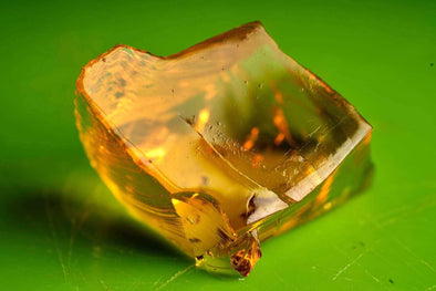 Does Jello Contain Collagen? (Whats the Link?)