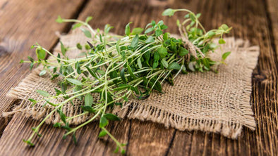 Thyme - The Ancient Herb with Modern Healing Powers
