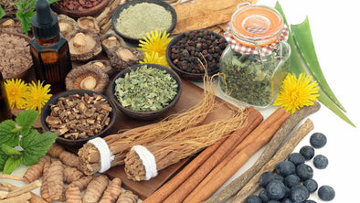 What Are Adaptogenic Mushrooms (A Natural Solution to Modern Stress)