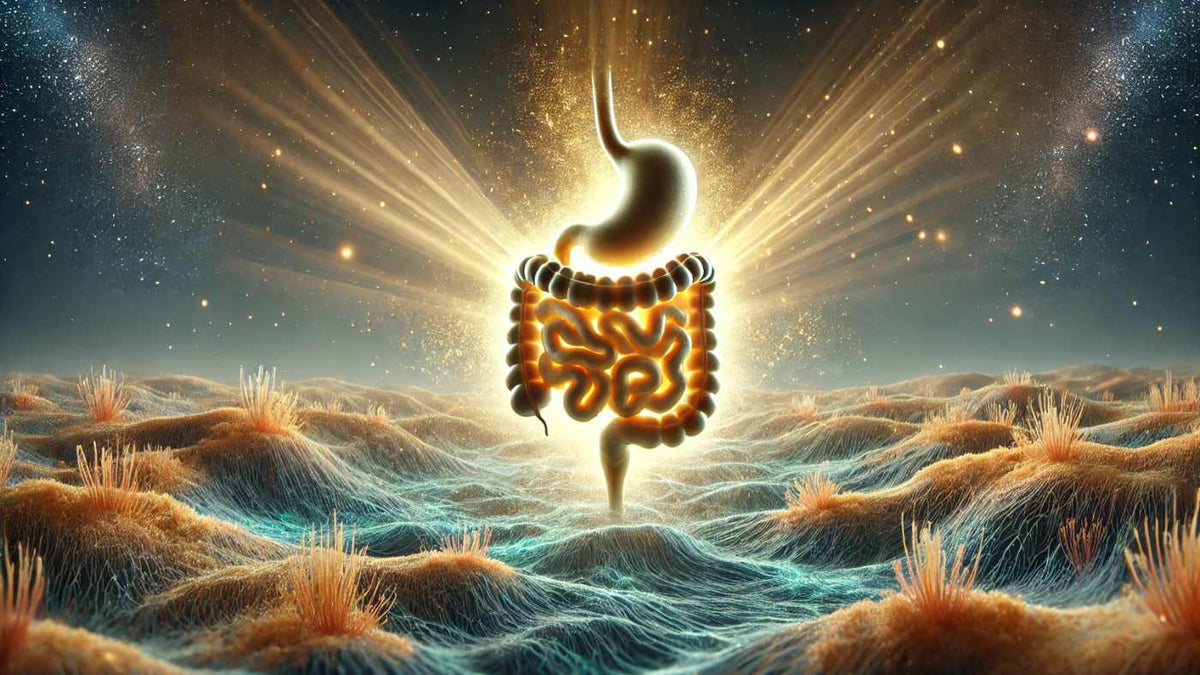 Your gut is not just a digestion machine.