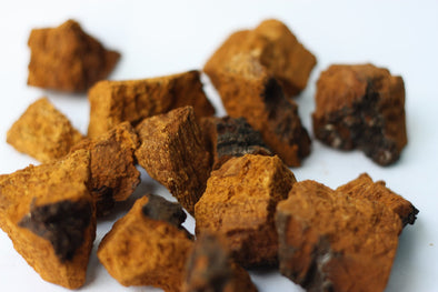 adaptogens-definition