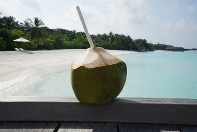 recipe-coconut-water-kefir