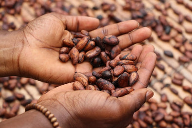 four-benefits-of-cacao
