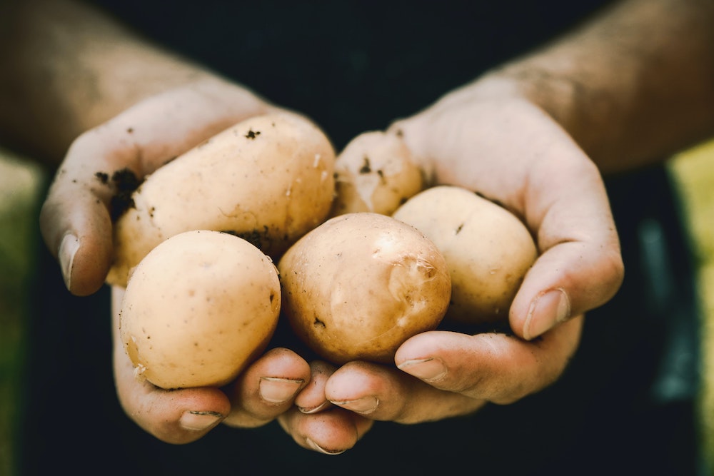 foods-high-in-potassium