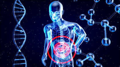 Understanding Leaky Gut (Causes, Symptoms & Treatment)