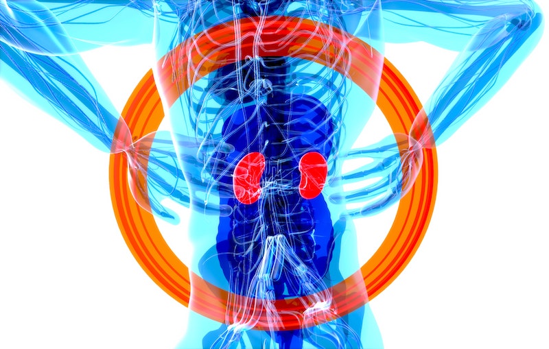 magnesium-and-kidney-health