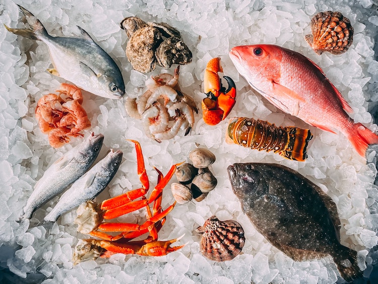 the-high-protein-diet