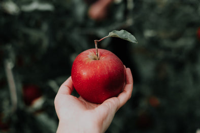 Apple Diet: The Ideal Gut and Heart-Healthy Fruit