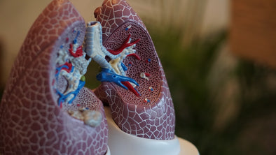best-foods-for-lungs