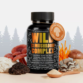 13 Mushroom Complex, 30 servings - Immunity and Longevity Support