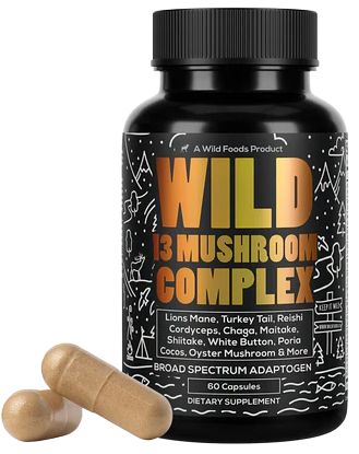 Wild 13 Mushroom