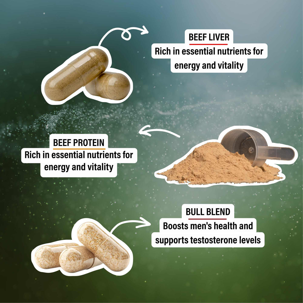 Animal Based Bundle