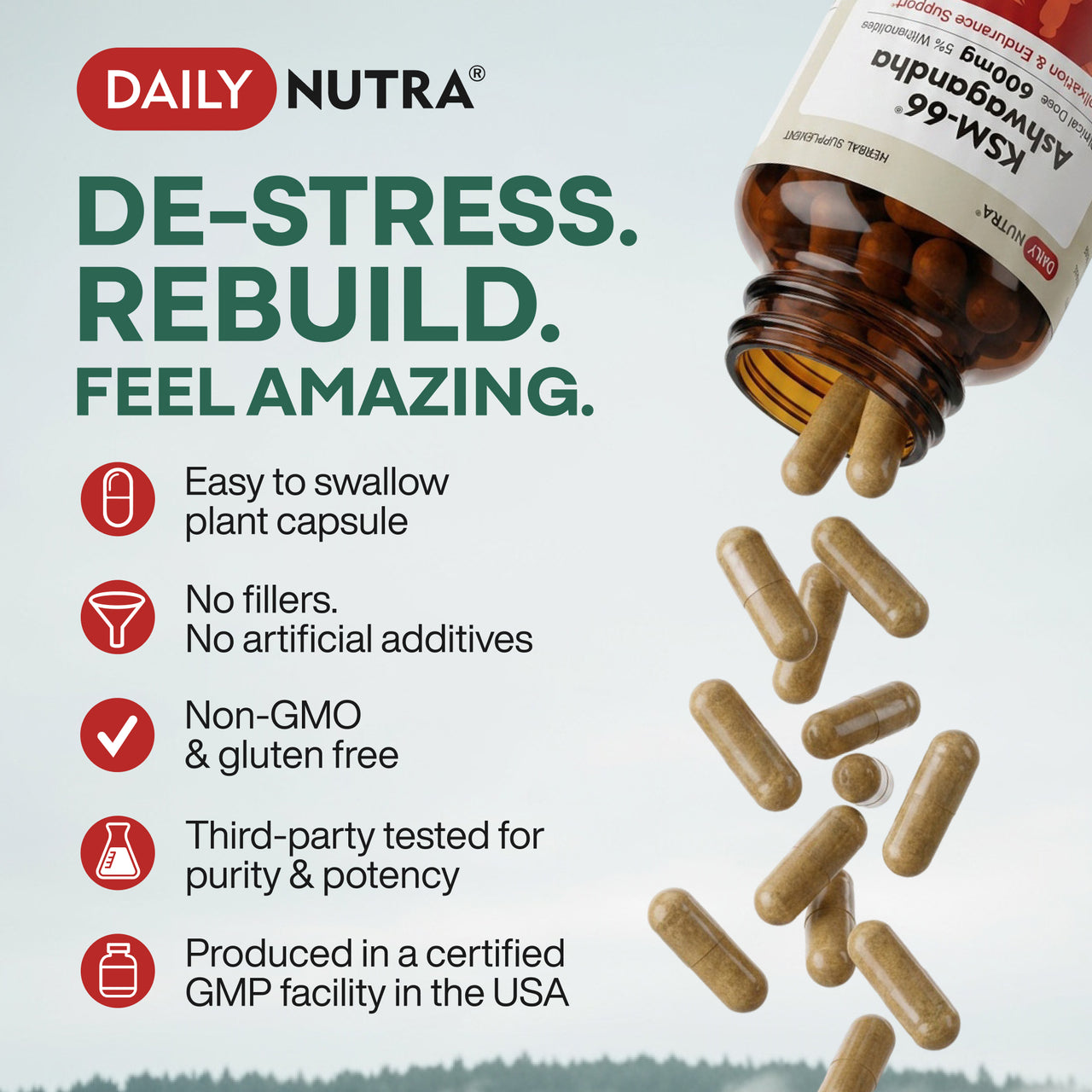 Daily Nutra KSM-66 Ashwagandha, 60 servings – Stress Relief & Relaxation