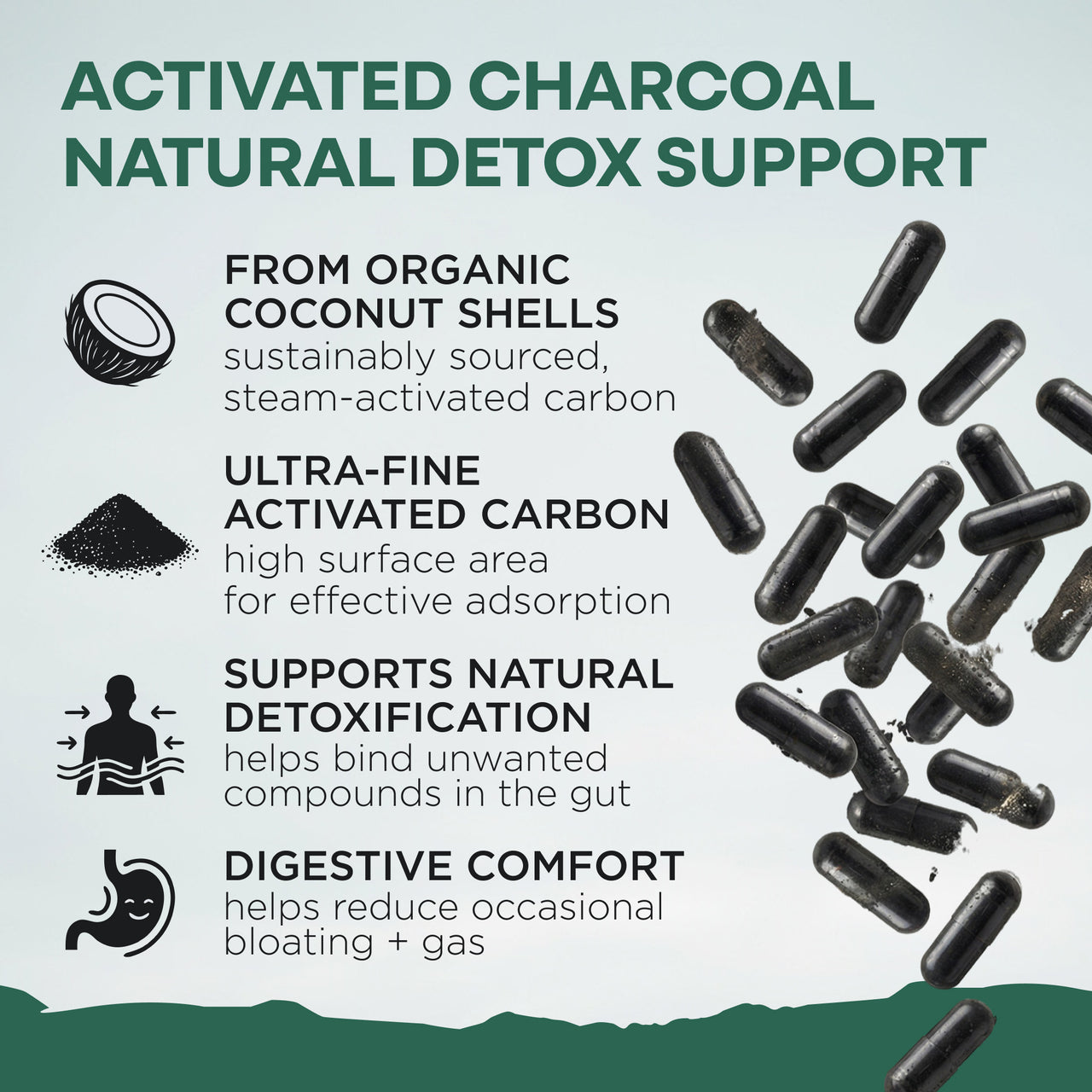 Activated Charcoal Capsules, 60 servings - Made from 100% Organic Coconuts