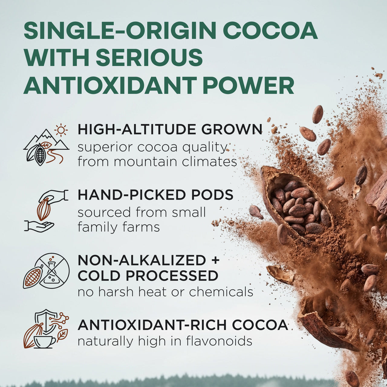 Cocoa Powder, 57 servings - Single-Origin Antioxidant