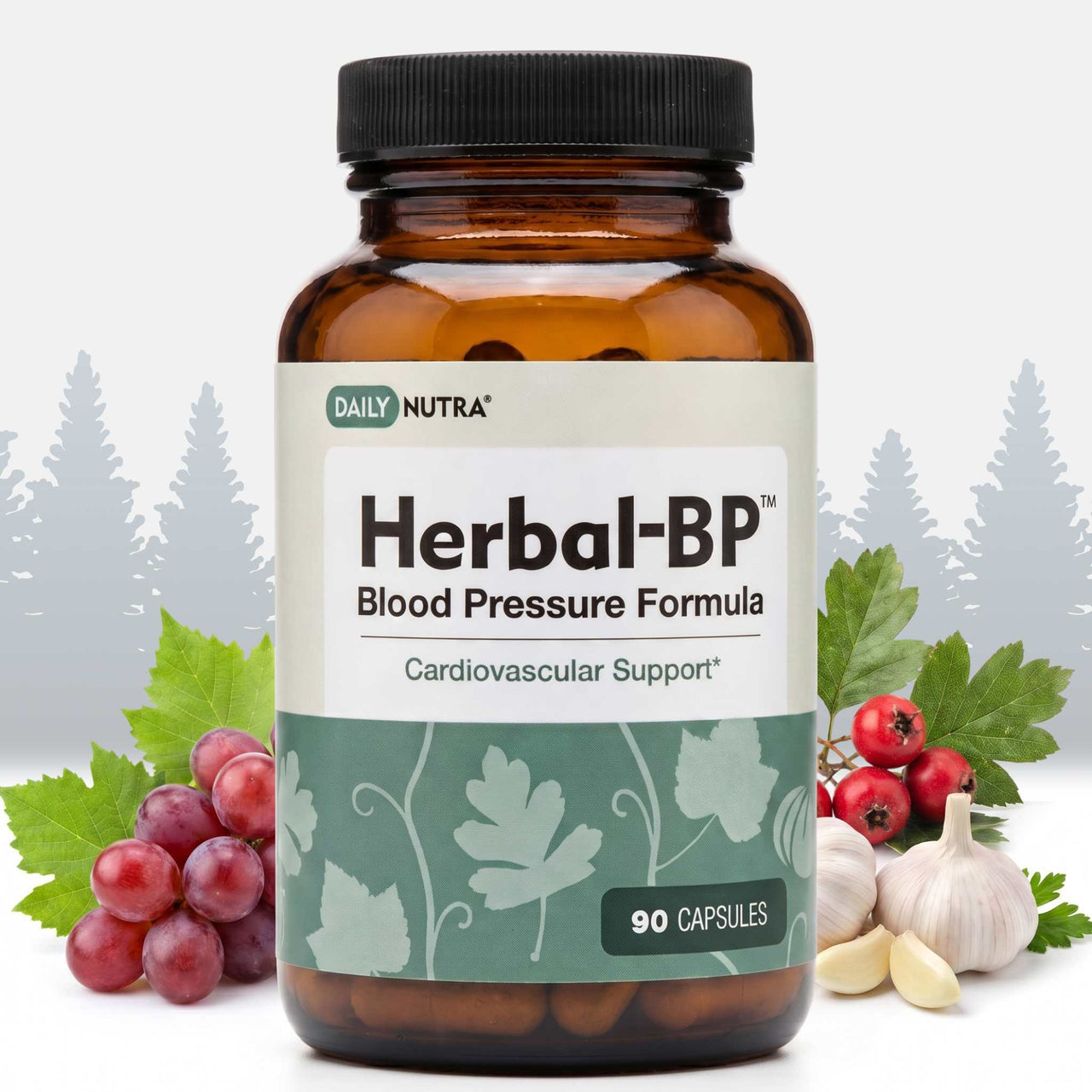 Herbal-BP Blood Pressure Support