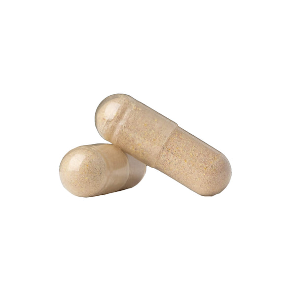 Whole Food Daily Multivitamin for Men case of 12 Wholesale Wild Foods   