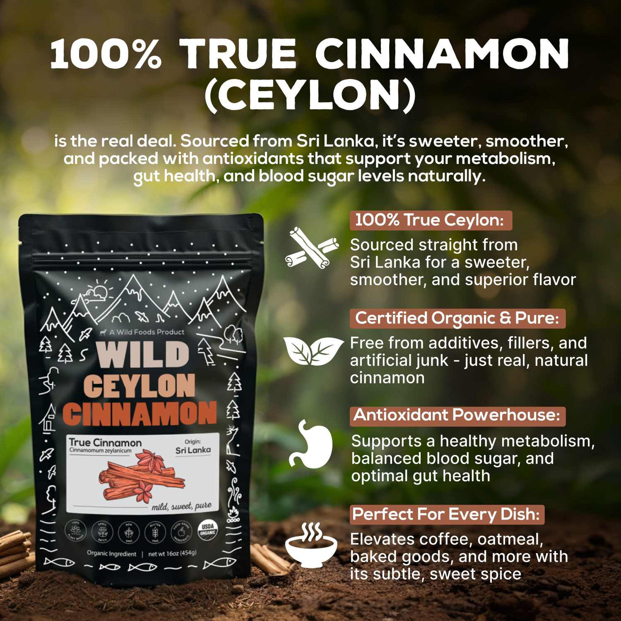 Wholesale of 10 - Ceylon Cinnamon Powder Organic