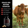 The Bull Blend: Beef Organ Complex For Hormone Support - Featuring Bovine Testicle, Prostate, Bone, Liver & Marrow Supplements Wild Foods   