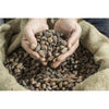 Wholesale Wild Cocoa Powder - Organic, Single-Origin, Small farms Wholesale Wild Foods   