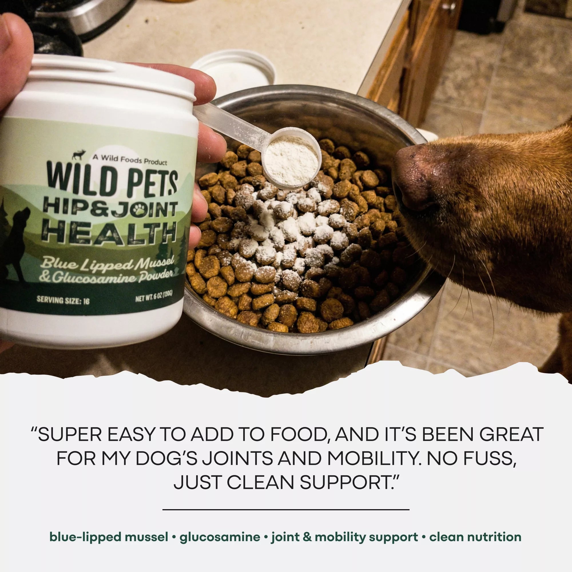 Wild Pets Blue Lipped Mussel & Glucosamine Powder for Hip & Joint Health –  120g