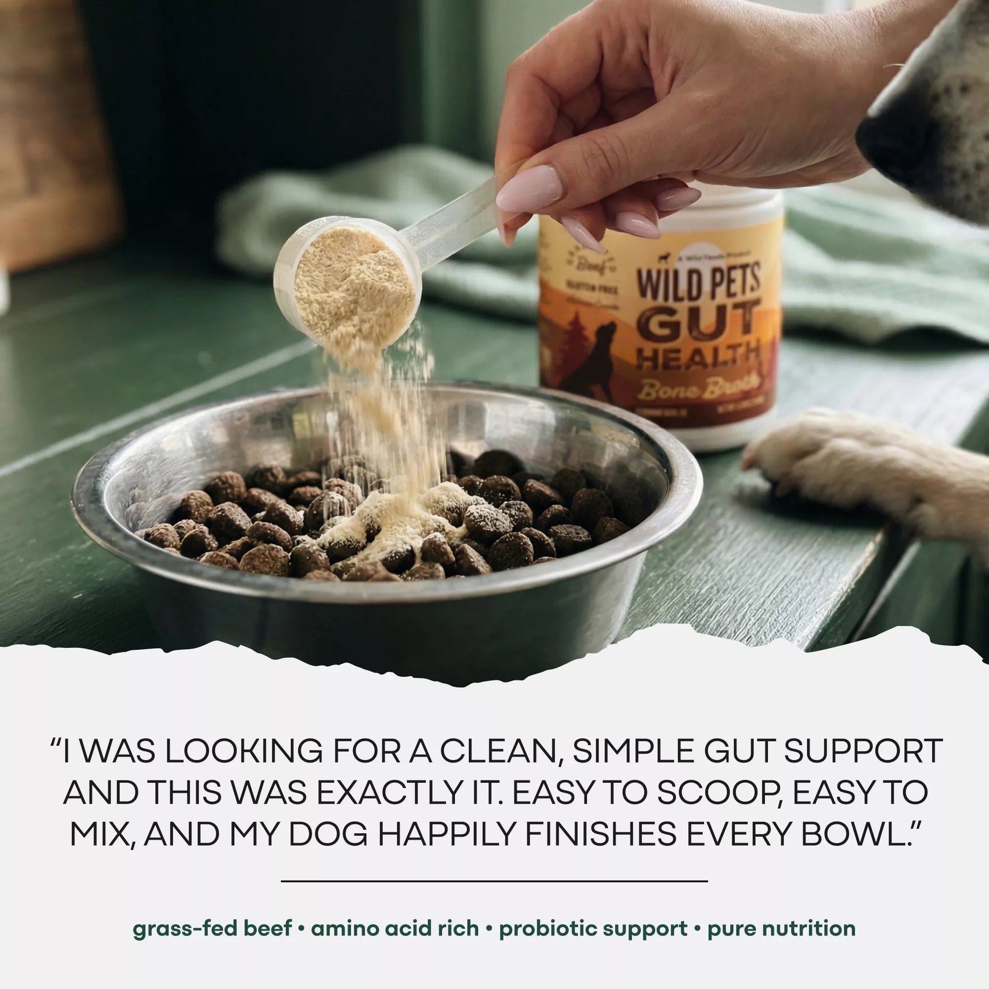 Wild Bone Broth for Pets, Gut & Immune Support