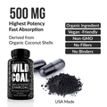 Activated Charcoal Capsules made from 100% Organic Coconuts, 120ct Supplements Wild Foods THREE ($14.99ea)*  