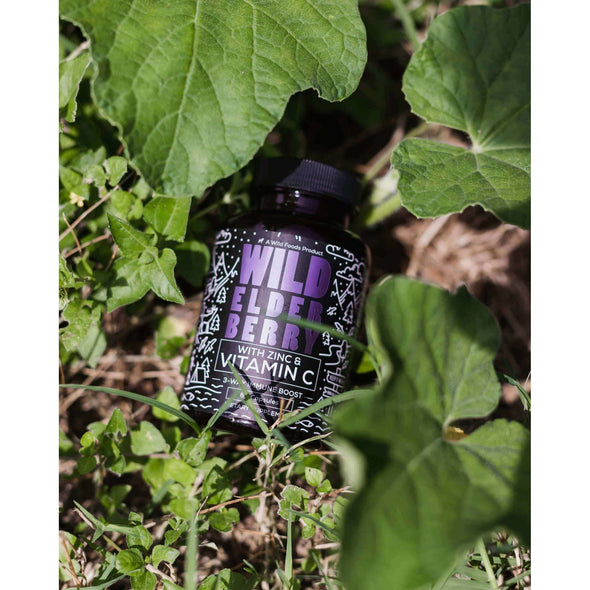 Elderberry Capsules 60ct Wholesale case of 12 Wholesale Wild Foods   