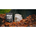 Wild Lion's Mane Mushroom Extract Mushrooms Wild Foods   