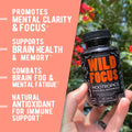 Wild Focus Nootropic Blend  Wild Foods   