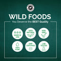 ON SALE! Sambucus Elderberry With Vitamin C and Zinc, 3-in-1 Daily Immune Support  Wild Foods   