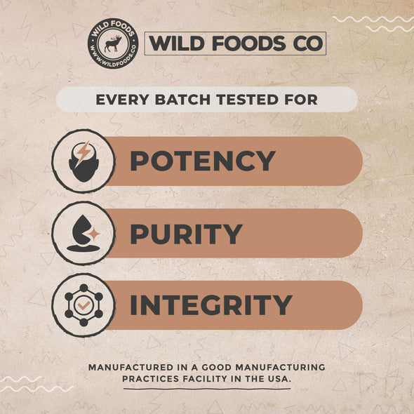 Elderberry Capsules 60ct Wholesale case of 12 Wholesale Wild Foods   