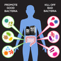 Wild Prebiotics Probiotics & Digestive Enzymes - 20 Billion CFU Supplements Wild Foods   