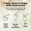 Wild Lion's Mane Mushroom Extract Mushrooms Wild Foods   