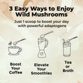 Wild Chaga Mushroom Powder Extract Mushrooms Wild Foods   