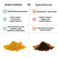 Wild Lion's Mane Mushroom Extract Mushrooms Wild Foods   