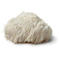 Wild Lion's Mane Mushroom Extract Mushrooms Wild Foods   