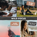 Wild Focus Nootropic Blend  Wild Foods   